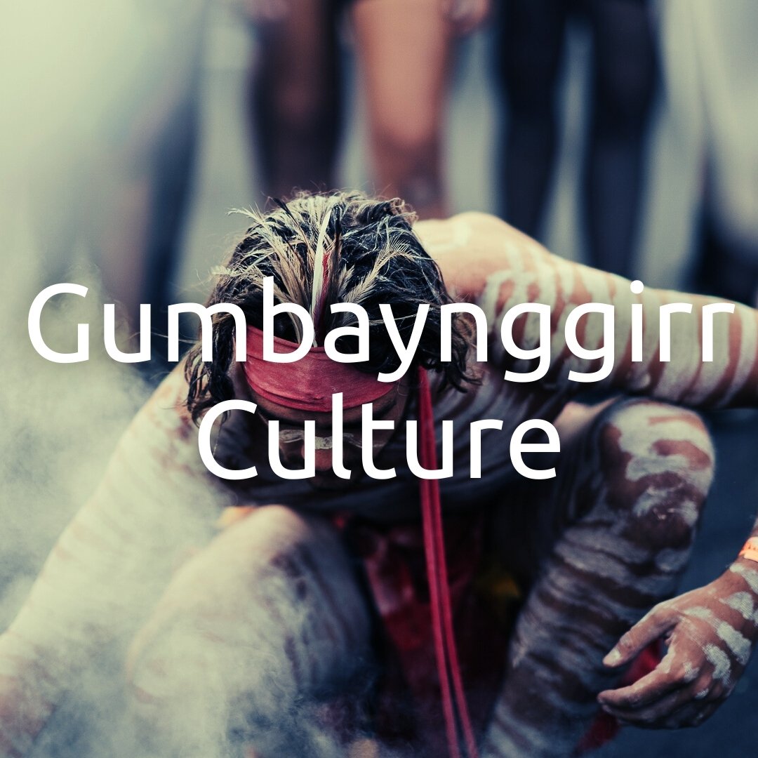 Aboriginal Gumbaynggirr Culture in the Bellingen Shire & the Coffs Coast NSW