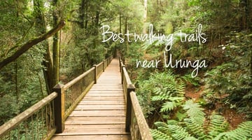 Discover the best walking trails, from beaches to rainforest bush walks, to suit varying abilities in Urunga and the Bellingen Shire on the Coffs Coast.