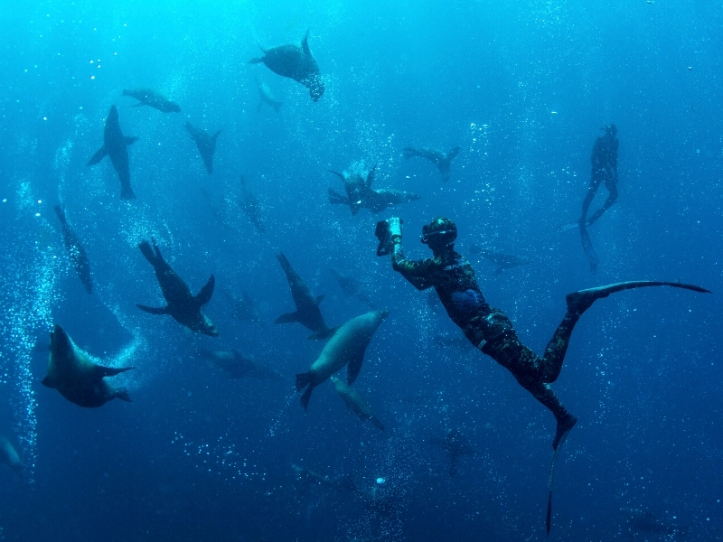 Dive Jervis Bay, Jervis Bay - Credit Jordan Robins