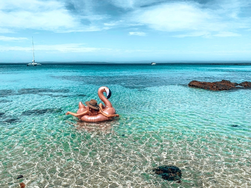 Fin on the water, Jervis Bay NSW