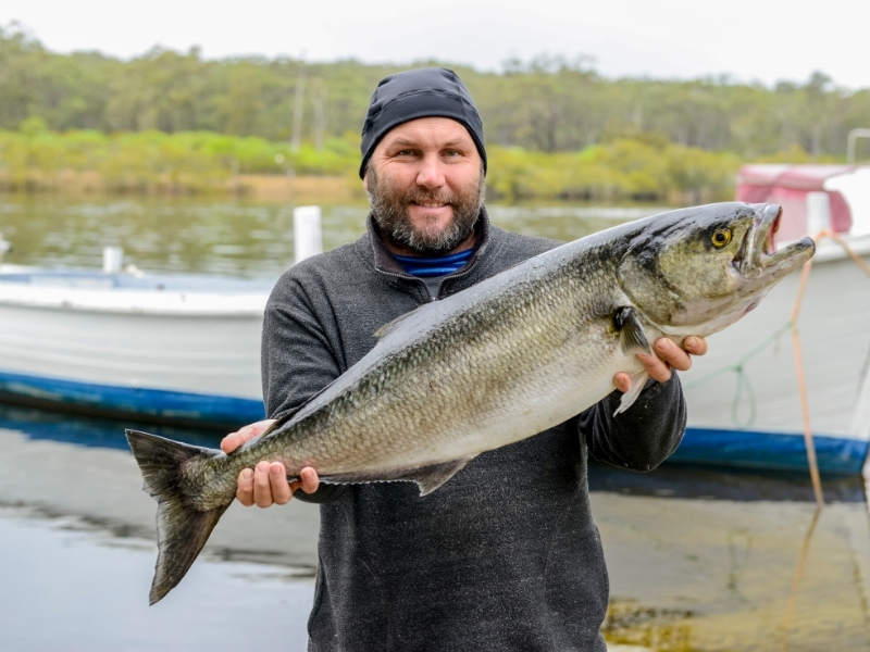 Fishing at Sussex Inlet - Haven Holiday Resort Shoalhaven Jervis Bay