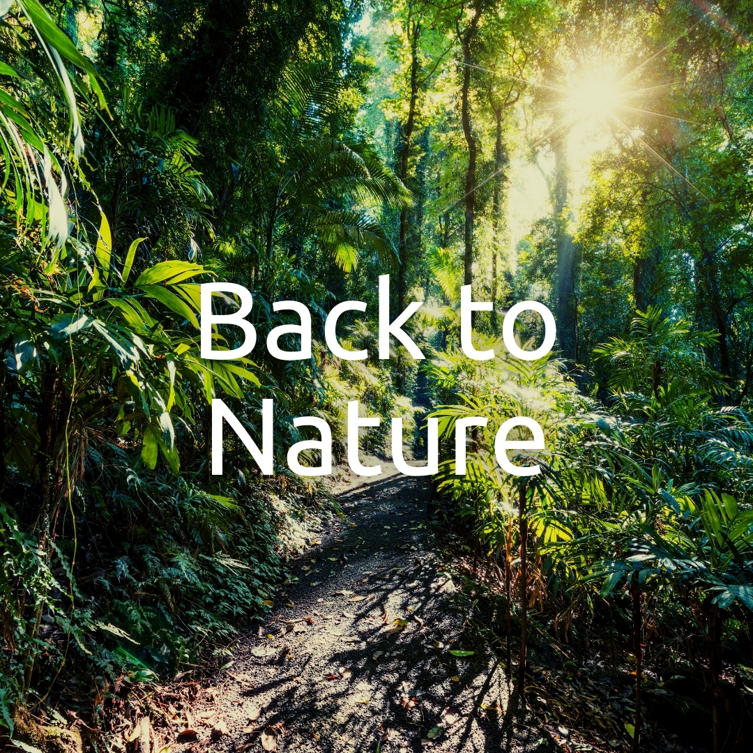 Back to Nature in the Bellingen Shire & the Coffs Coast NSW-1
