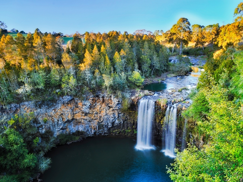 Dangar Falls, Dorrigo - Bellingen Shire NSW