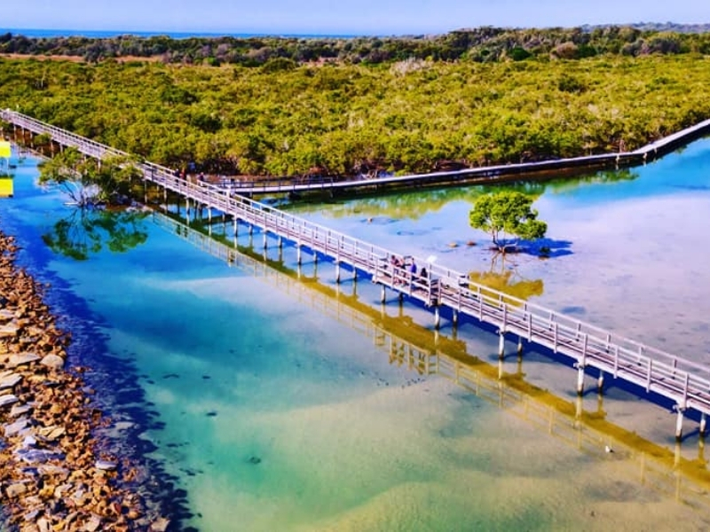 Urungas Wheelchair accessible Boardwalk  - Riverside Holiday Resort, Urunga on the Coffs Harbour Coast 