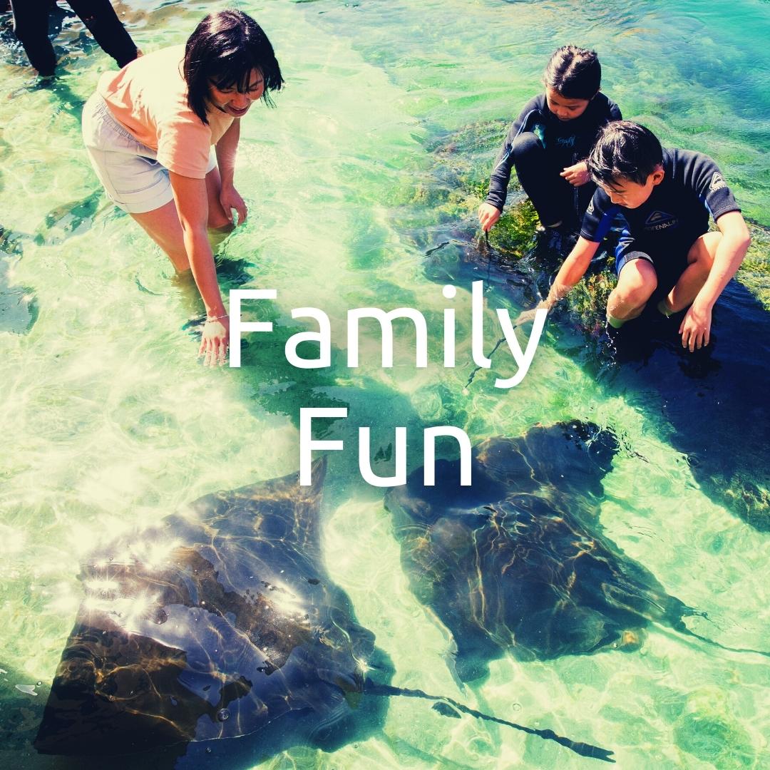 Family Fun Port Stephens