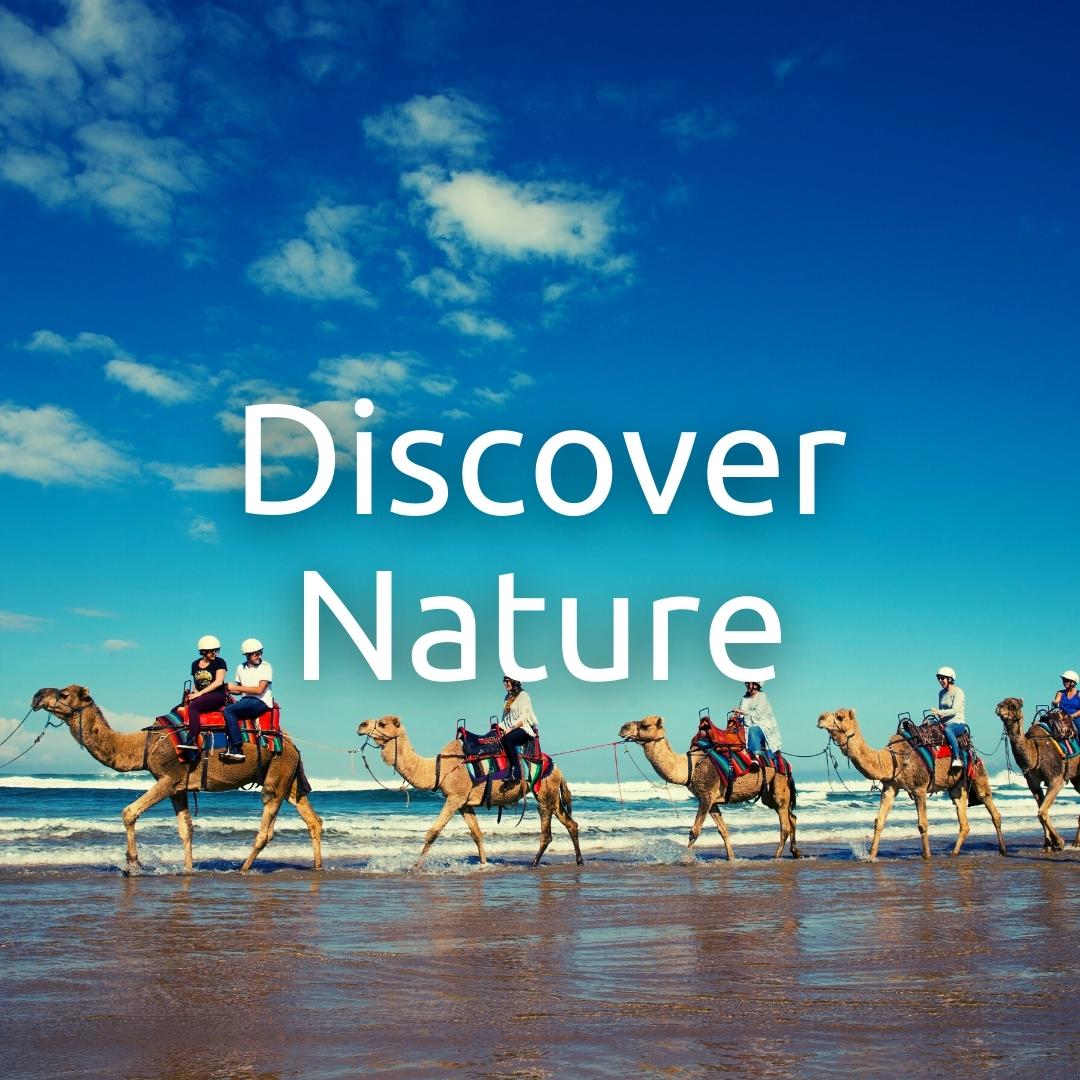 Oakfield Ranch Camel Rides, Port Stephens - Destination NSW-1