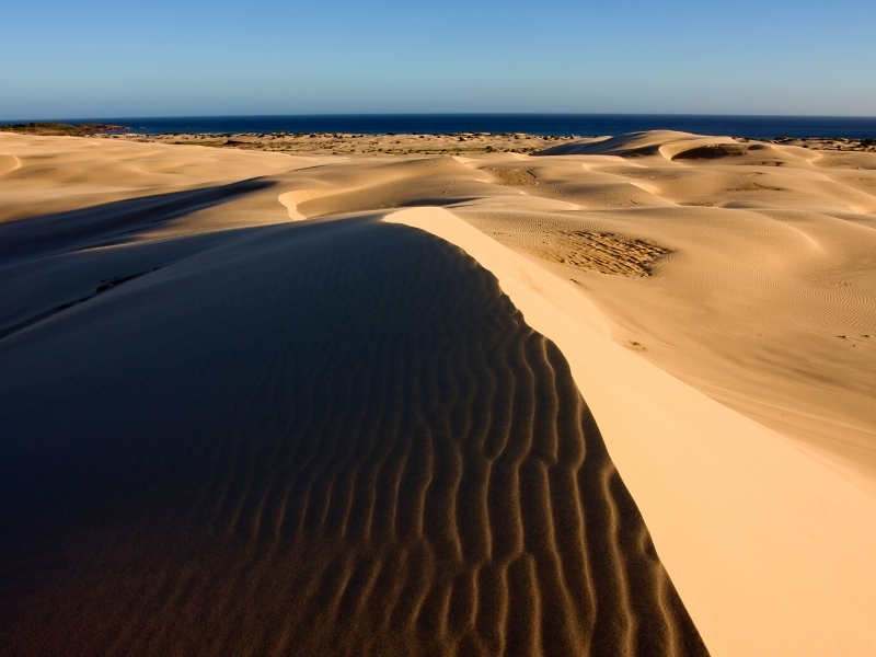 Worimi Conservation Lands and the Stockton Sand Dunes Port Stephens NSW