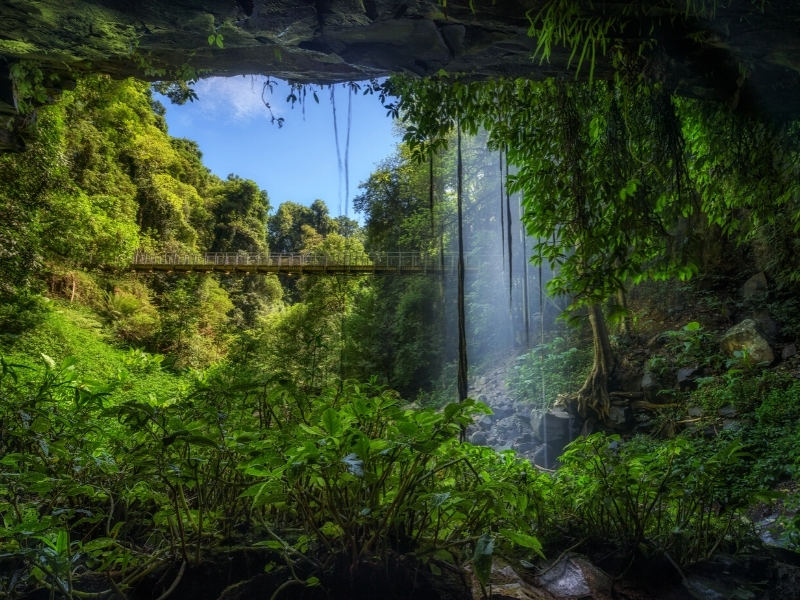 Dorrigo National Park, Cascade Falls - Riverside Holiday Resort, Urunga NSW