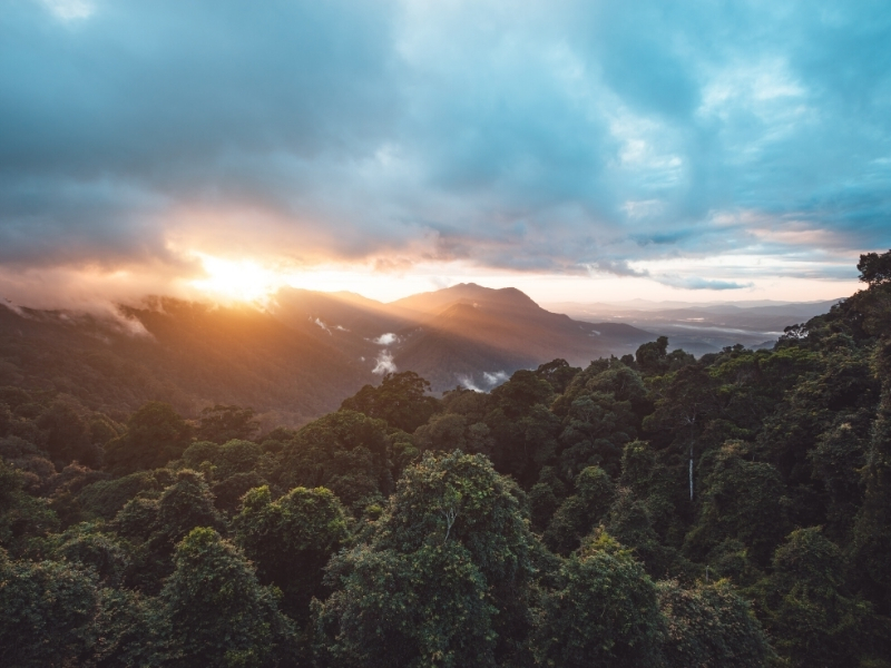 Gumbaynggirr Country, Dorrigo National Park - Riverside Holiday Resort, Urunga NSW