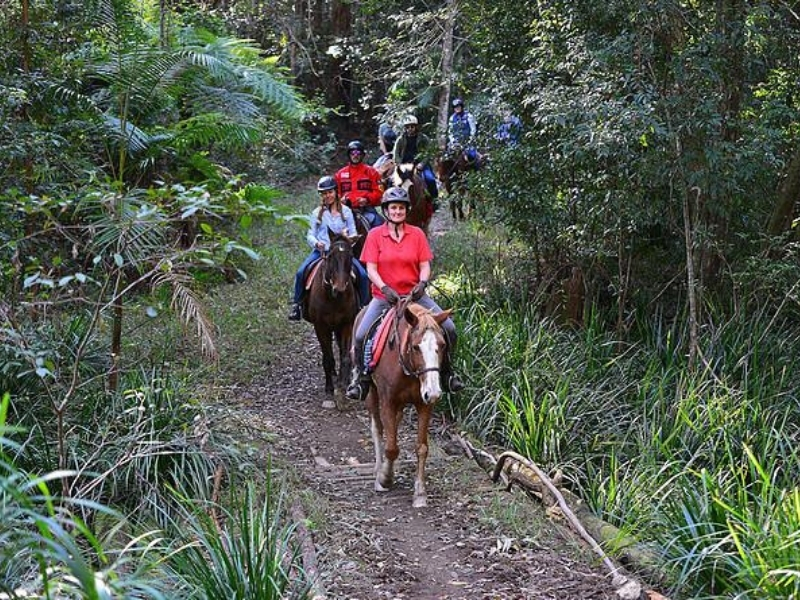 Valery Trails Horse Riding Bellingen - Riverside Holiday Resort, Urunga NSW